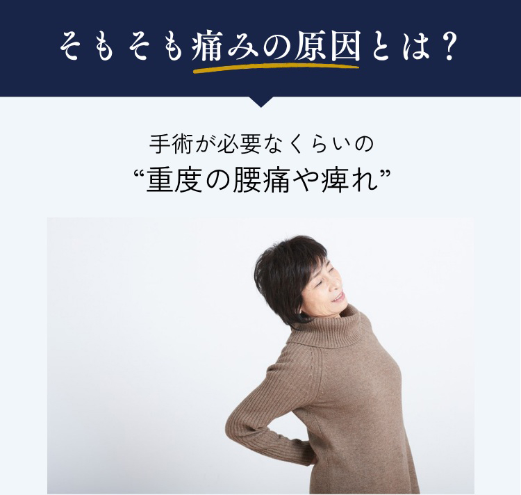 痛みの原因とは 重度 腰痛 痺れ